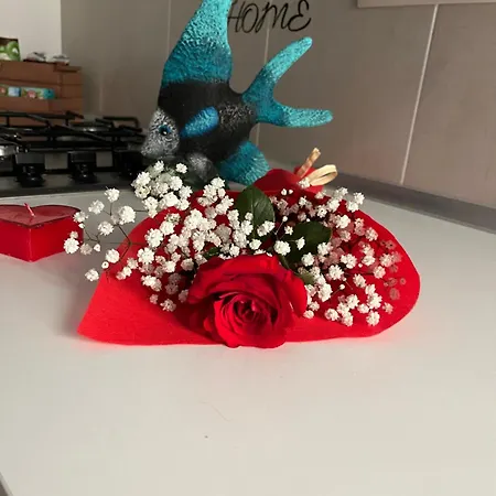 Terry Apartman Mirto